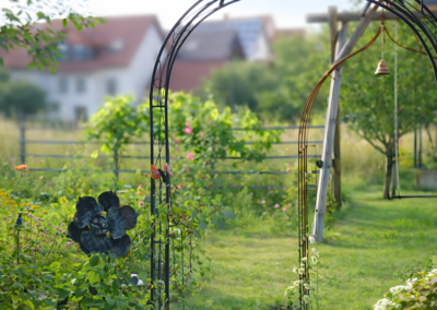 Blühender Garten mit Metallbögen, Kletterpflanzen und dekorativer Blume bei der Ferienwohnung Jaeger in Viereth bei Bamberg.